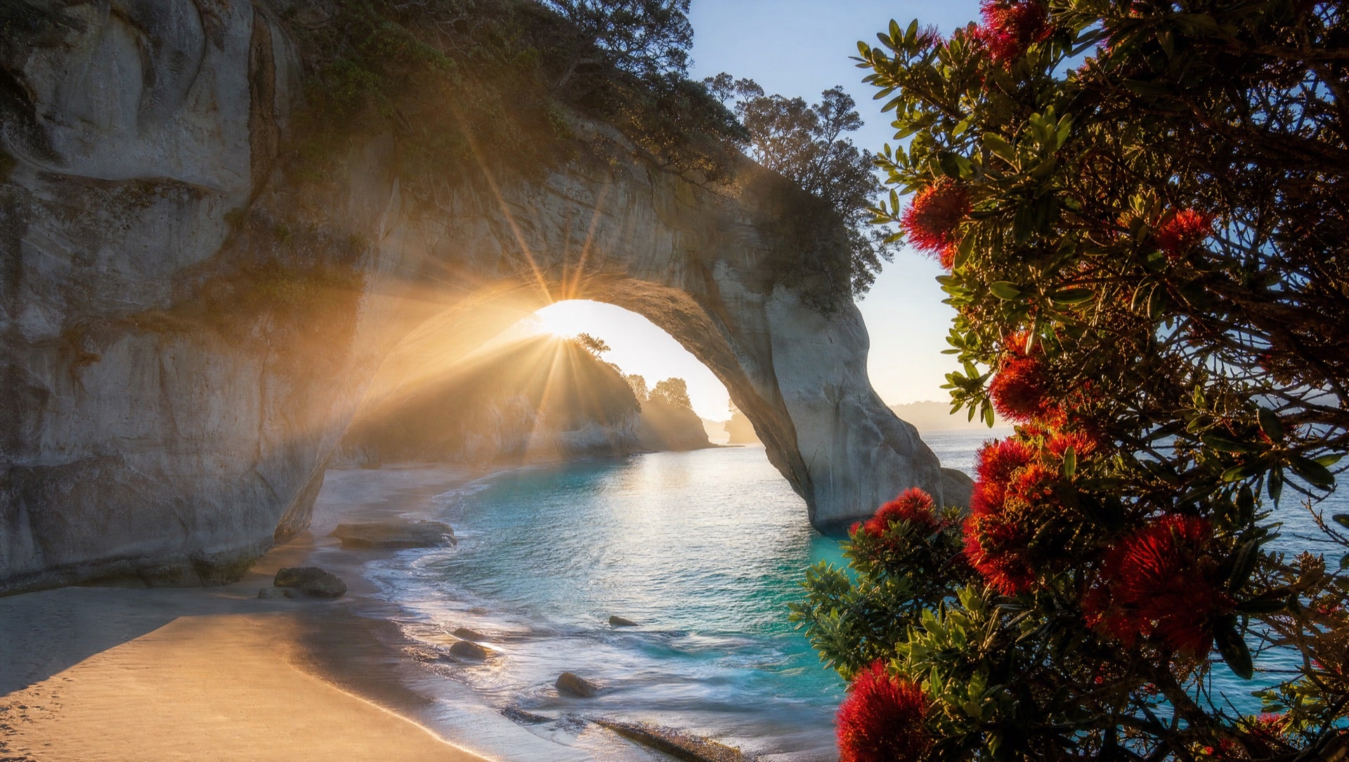 Coast scent