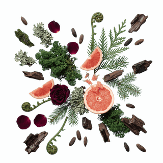 Bodi perfume-inspired scent