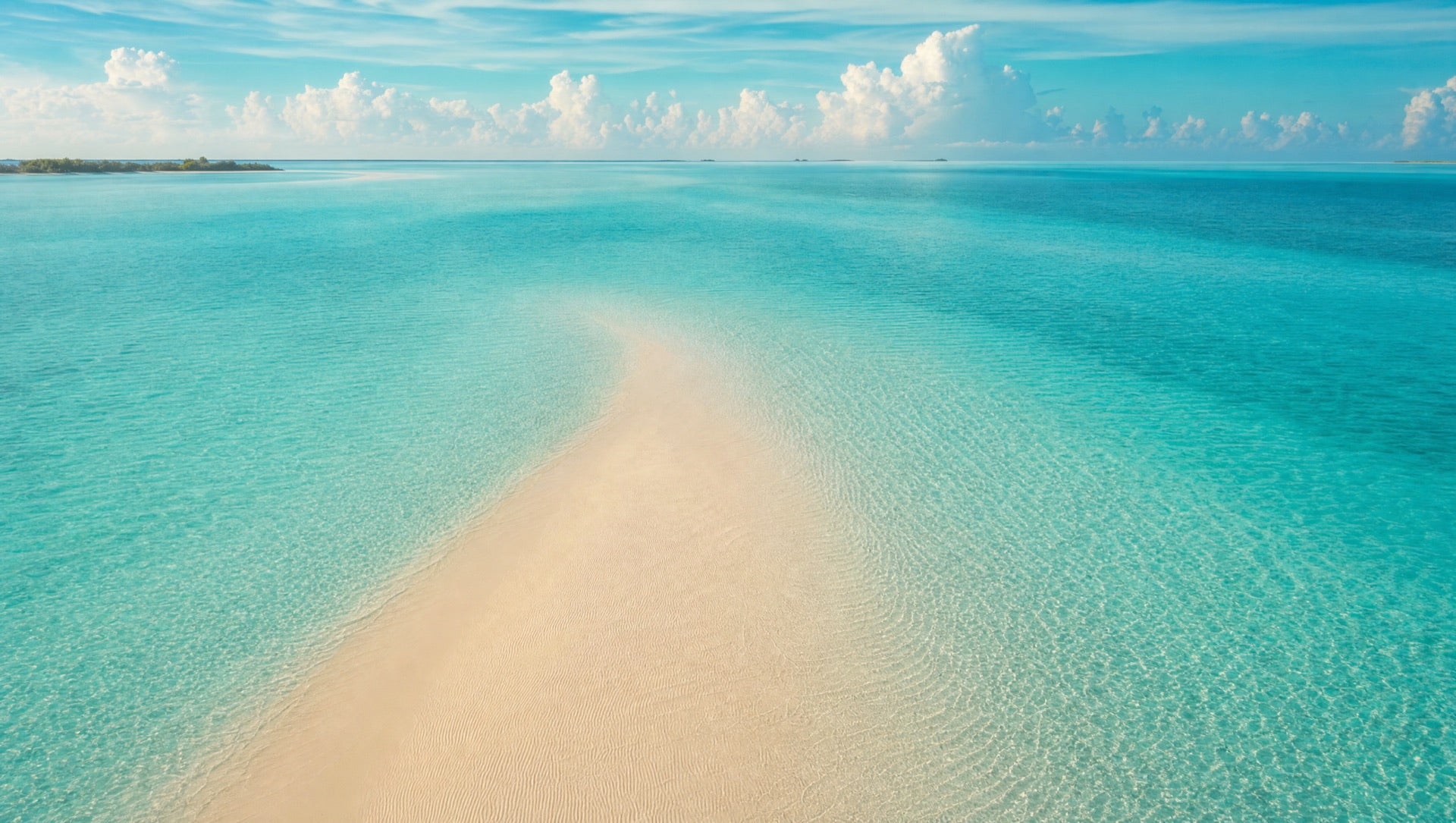 Sandbar scent